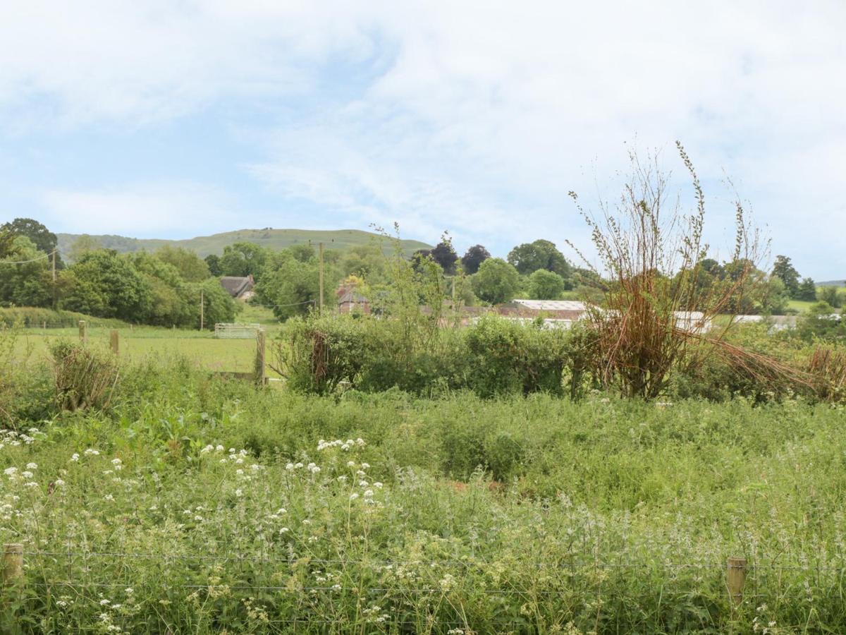 Little Willow Blandford Forum Exterior photo